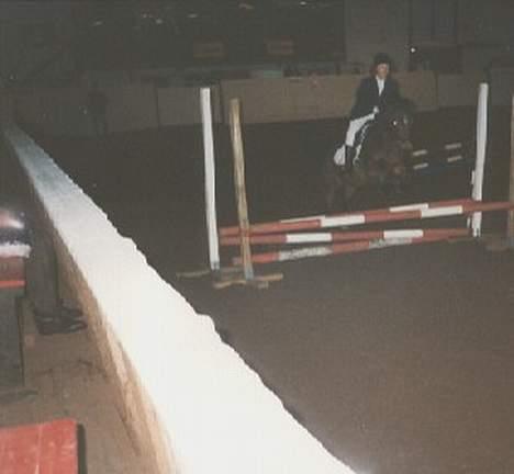 Anden særlig race Mitsi - LE spring i 1997 billede 14