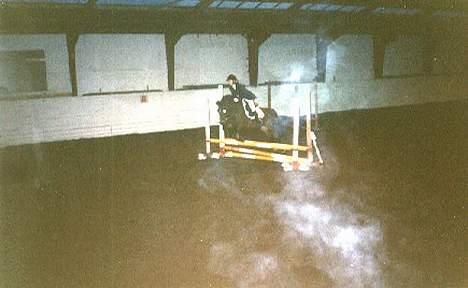 Anden særlig race Mitsi - LE spring i 1997 billede 15