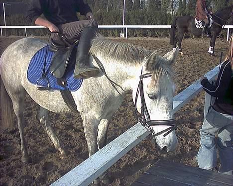 Anden særlig race lucky billede 6