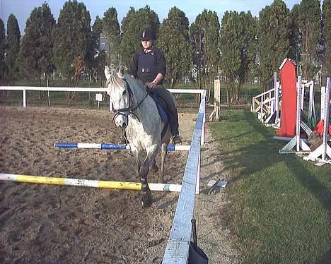 Anden særlig race lucky billede 7