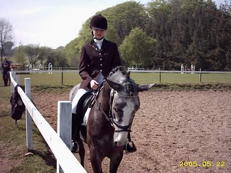 DSP Bentley (SOLGT) - Vores første stævne i FRK billede 3