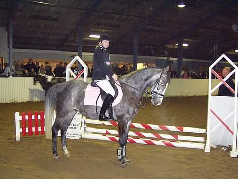 DSP Bentley (SOLGT) - Det er så fra sponsor springning i FRK billede 5