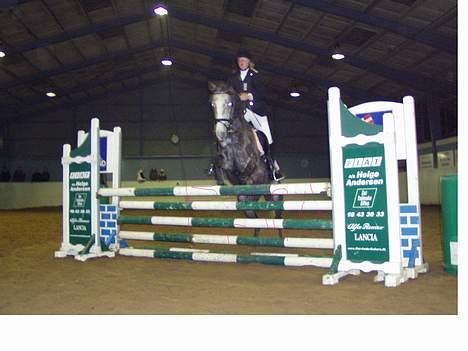 DSP Bentley (SOLGT) - Det højeste spring til sponsor springning. billede 6