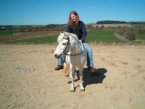 Welsh Mountain (sec A) Starlight.... DØD... - Det her var en af hendes gode dage i sommers...! billede 2