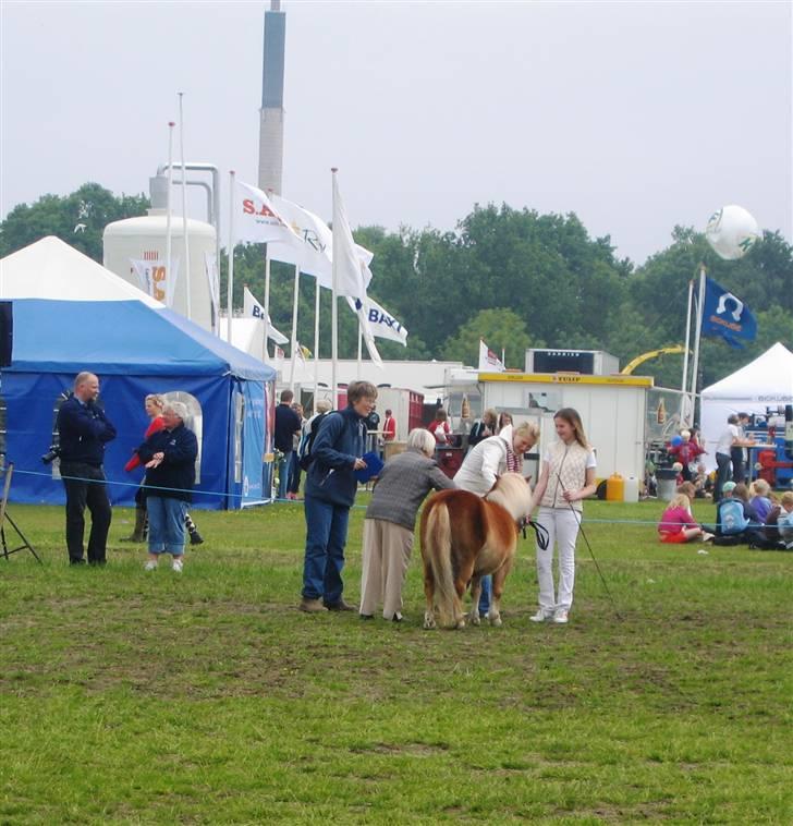 Shetlænder Sanne Bomlund  - De tre dommere var vilde med søde Sanne på dyrskuet ´06. billede 8