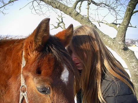 Traver Stratego - Mig og Tego i en hyggestund billede 14