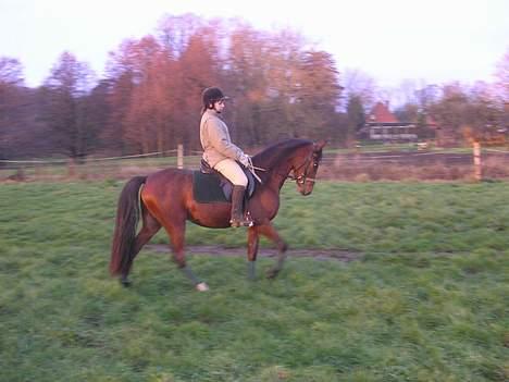 Anden særlig race Farmens Lucky Star  - Vi skridter varm .  billede 2