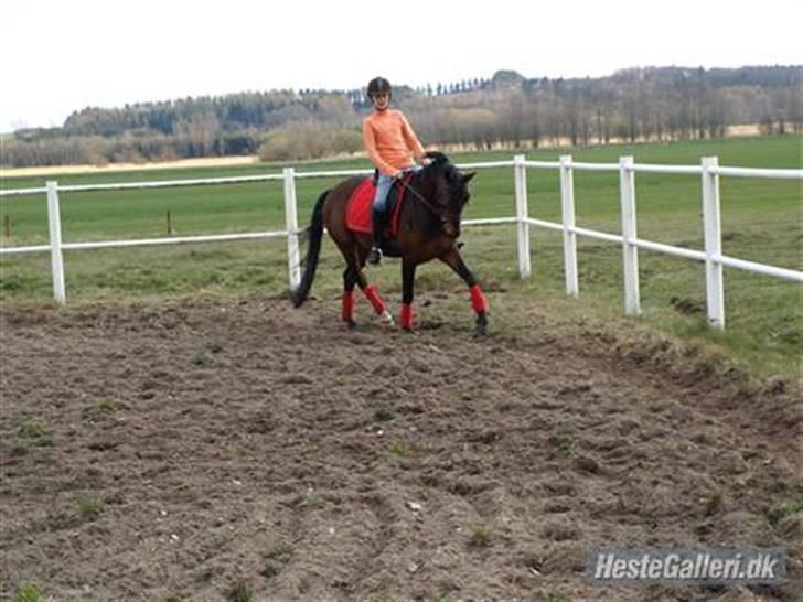 Anden særlig race Farmens Lucky Star  - lucky star og hans nye ejer amalie<3 de så fine sammen:D billede 5