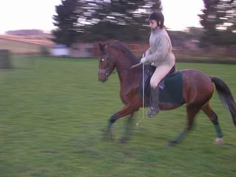 Anden særlig race Farmens Lucky Star  - Fin galop , meget behagelig .  billede 11
