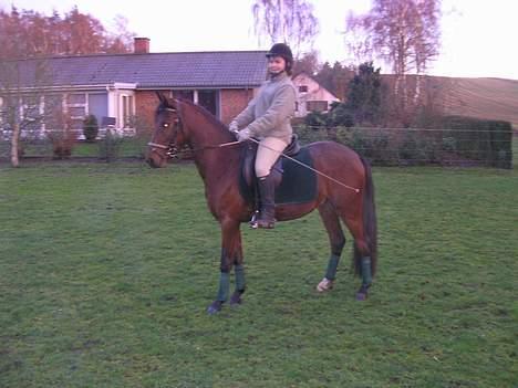 Anden særlig race Farmens Lucky Star  - Parrade ;D Smil til fotografen .  billede 12