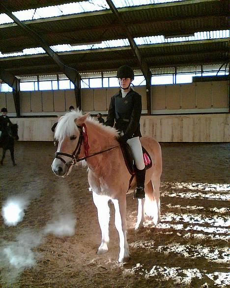 Anden særlig race  Danse Daisy <3 - Er lidt træt men okay  ( taget med mobil) billede 8