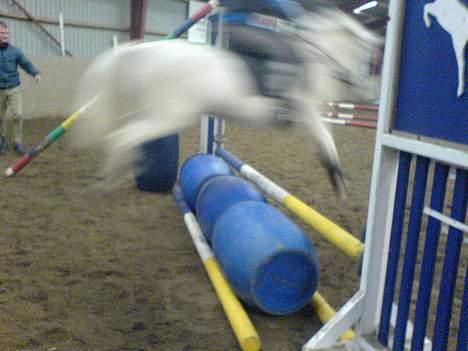 Anden særlig race Sabell - Springer tømder ;P r lidt sløret  billede 15