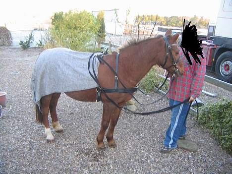 Anden særlig race Nansi R.I.P billede 2