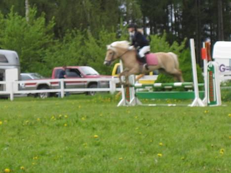 Anden særlig race  Danse Daisy <3 - Spring 21/5-06 billede 12