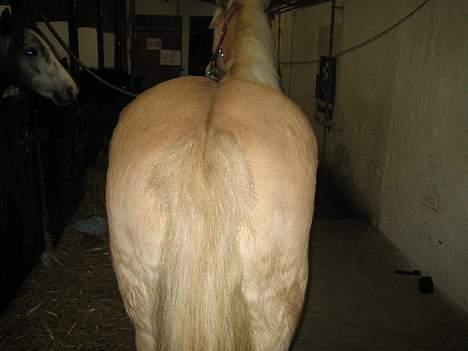 Anden særlig race  Danse Daisy <3 - THE END!!  billede 20