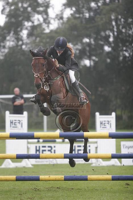 Anden særlig race Galway Cliff - DM 2006 red B-finalen billede 2