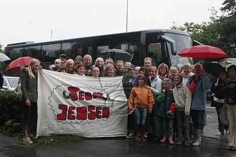 Anden særlig race Galway Cliff - Vores fann klub Team Jensen det billed kommer i ridenhesten junior billede 7