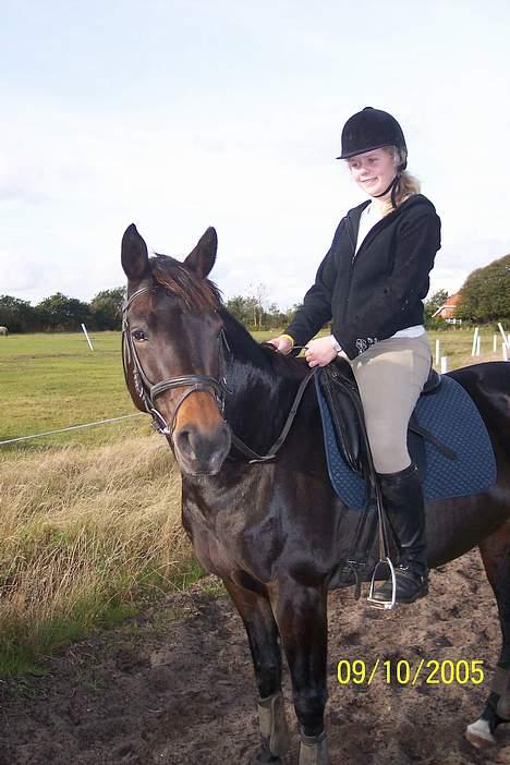 Dansk Varmblod Columbine AFLIVET - Tag jer ikke af mig :P billede 7