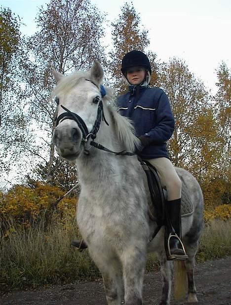 Anden særlig race Bella - Søde Søde Pony billede 3