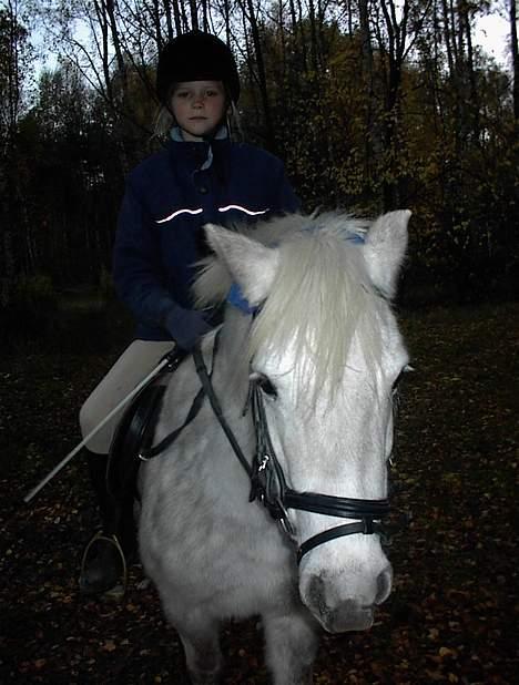 Anden særlig race Bella - Smuk Pony billede 5