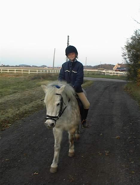 Anden særlig race Bella - Hun Er Bare Min billede 7