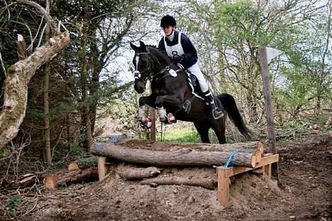 Anden særlig race Menta (tidligere part) - Tilæ militarystævne på Søborggård. billede 1