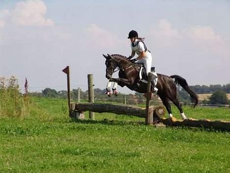 Anden særlig race Menta (tidligere part) - Igen til military stævne.. Denne gang nogle måneder senere.. men vi er stadig på SØG billede 2