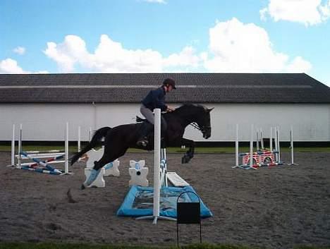 Anden særlig race Menta (tidligere part) - Springning hjemme på NSR billede 3