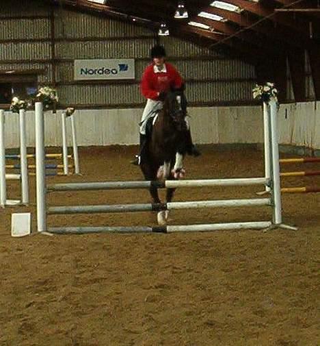 Anden særlig race Menta (tidligere part) - Til stævne nogle måneder efter jeg var begyndt at ride hende. På NØR 70 cm billede 5