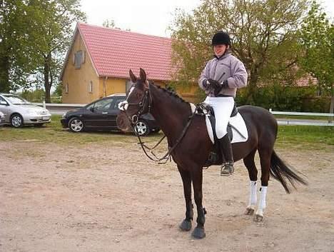 Anden særlig race Menta (tidligere part) - Til sløjfespring på FHSR billede 7