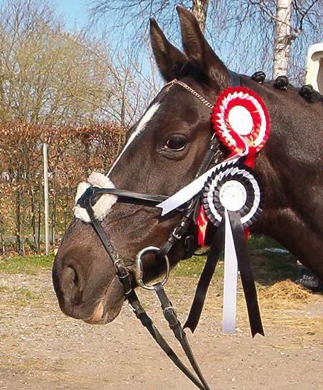 Anden særlig race Menta (tidligere part) - Menta. 1 plads LD billede 8