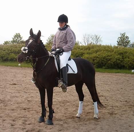 Anden særlig race Menta (tidligere part) - Sidder meget underligt:P men Menta ser godt nok fræk ud:P billede 11