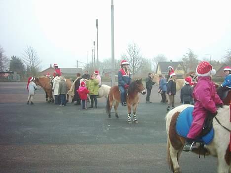 Dartmoor asterix - her er vi til juleoptog med alle muglige andre heste og ponyer billede 3