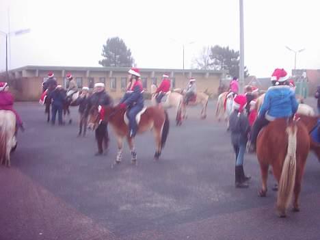 Dartmoor asterix - her er vi også til juleoptog billede 4