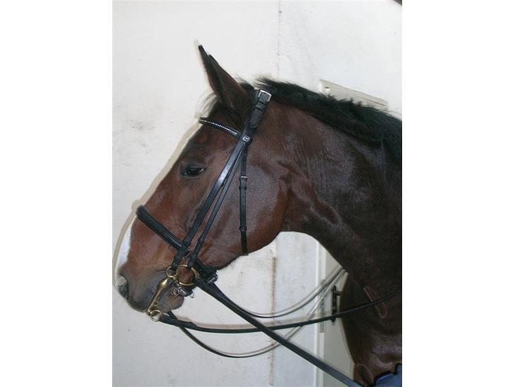 {{currentPhoto.altText}} billede {{currentPhoto.number}}