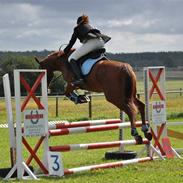 Anden særlig race Lucky Girl<3 SOLGT