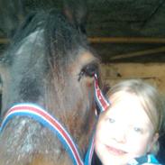 Anden særlig race Lady