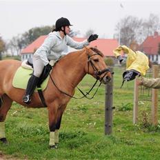 Anden særlig race Rosendals Ronja