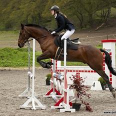 Anden særlig race Bakkely Skywalker