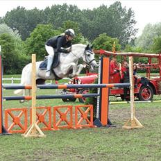 New Forest Odbjergs Izara 'A-pony'