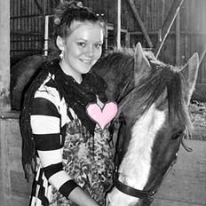 Hollandsk Sportspony Rico<3 