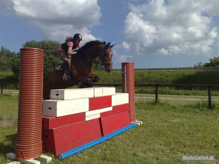 Holstener VodajoT.M 'Solgt* - velkommen til Mister Officen profil! springer 135 minstjerne!<3 foto: Talle<3 billede 1