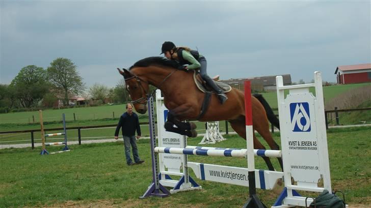 Holstener VodajoT.M 'Solgt* - anden gang! foto: Sidsel<3 tak billede 10