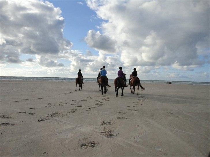 Anden særlig race Valentin - Valentin du er skøn!<3 billede 12