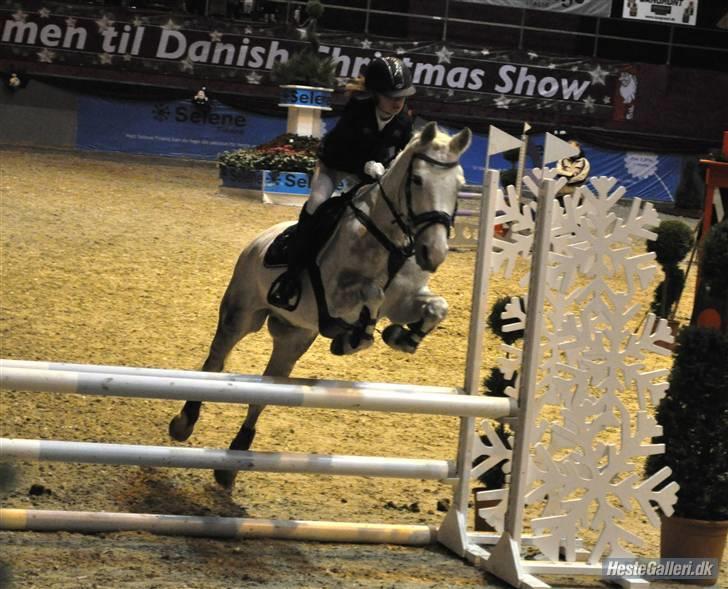 Anden særlig race Silver SOLGT! - chrismas show (; LA jeg elsker min super sild SÅ højt (´; <3 billede 11