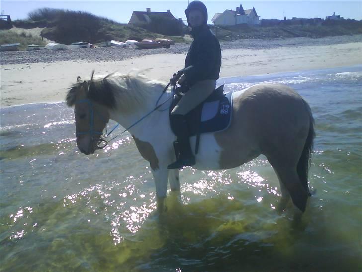 Anden særlig race Victoria <3 R.I.P <3 :'( Savner dig :'( <3 - Du elskede stranden <3  billede 10