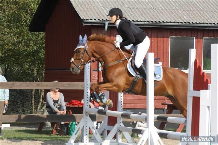 Irsk Sportspony Pimboli  *Solgt* - Mig & Pimboli til spring stævne i ISR, i LC som VI VANDT igen! (: Foto : MCL-foto.. billede 12