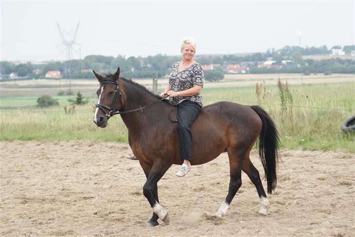 Anden særlig race Jasmin - Hygge uden sadle. Foto: Rikke. billede 16