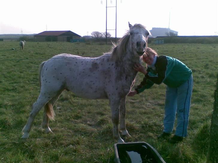 Anden særlig race Kabic  *solgt* - Kabic der blivet klæet, han er rigtig kælen :P billede 10