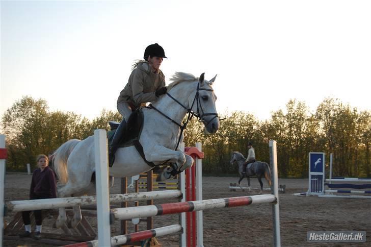 DSP STAR {b-pony} - 2. gang jeg springer hende billede 15